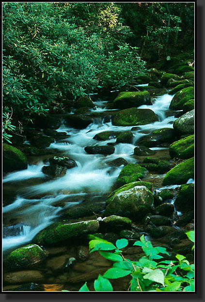 20030527-137-Stream