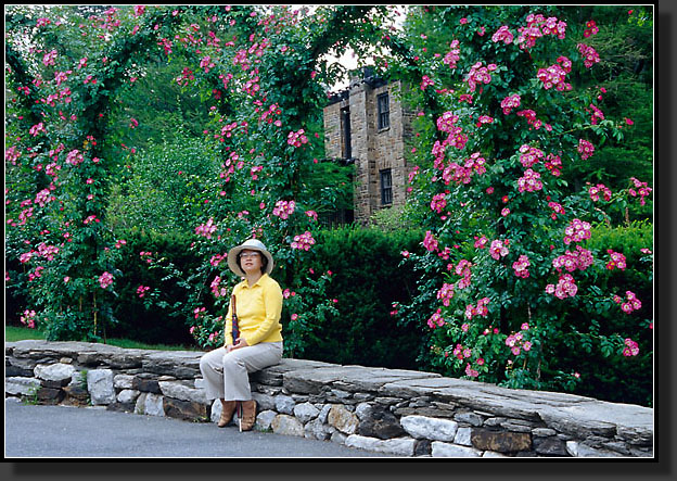 20040531-23-Rose-Bush