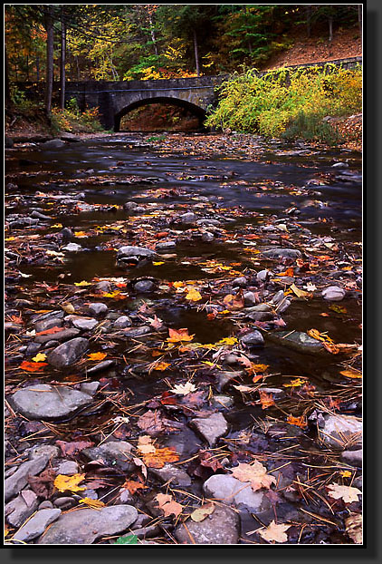 20041016-21-Wolf-Creek