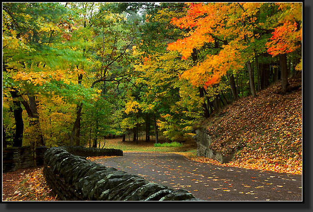 20041016-32-Fall-Foliage