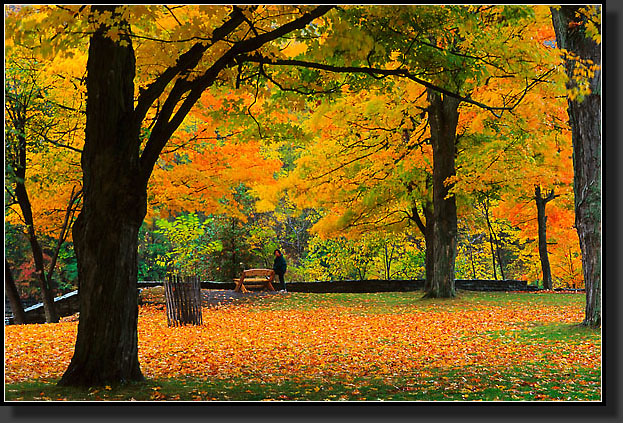 20041016-36-Fall-Foliage