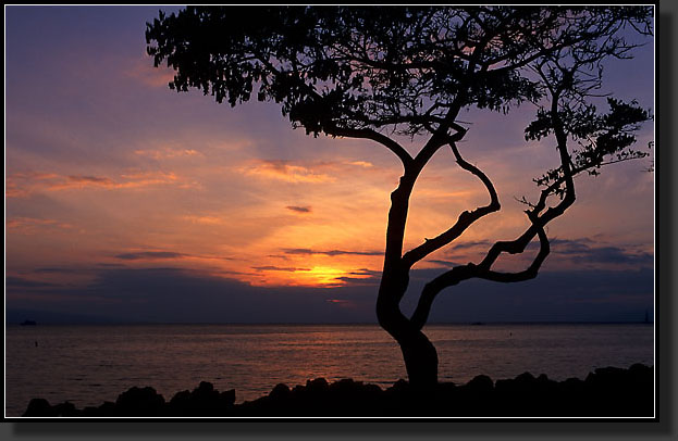 20050502-204-Lahaina-Sunset