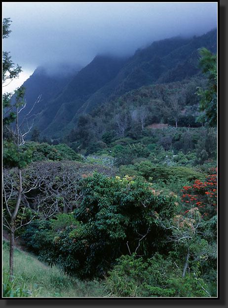 20050505-305-Iao-Valley