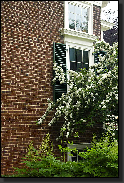 20050528-12-Monticello-Window