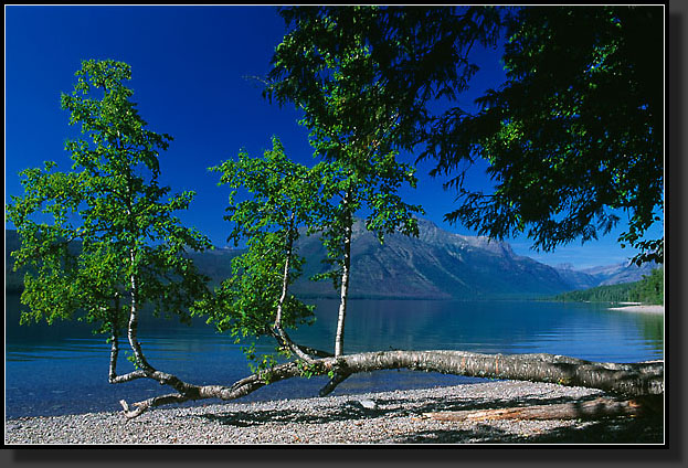 20050804-613-Lk-McDonald,-Glacier-NP