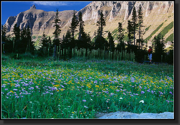 20050804-624-Going-To-The-Sun-Rd,-Glacier-NP