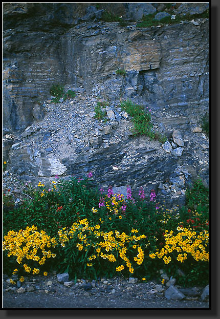 20050804-635-Glacier-NP