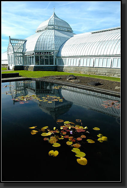 20051030-0074-Lily-Pond