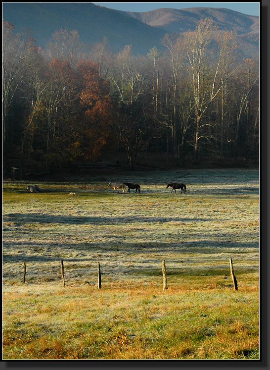 20061029-0010-Cades-Cove