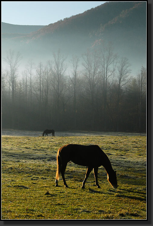 20061029-0018-Cades-Cove