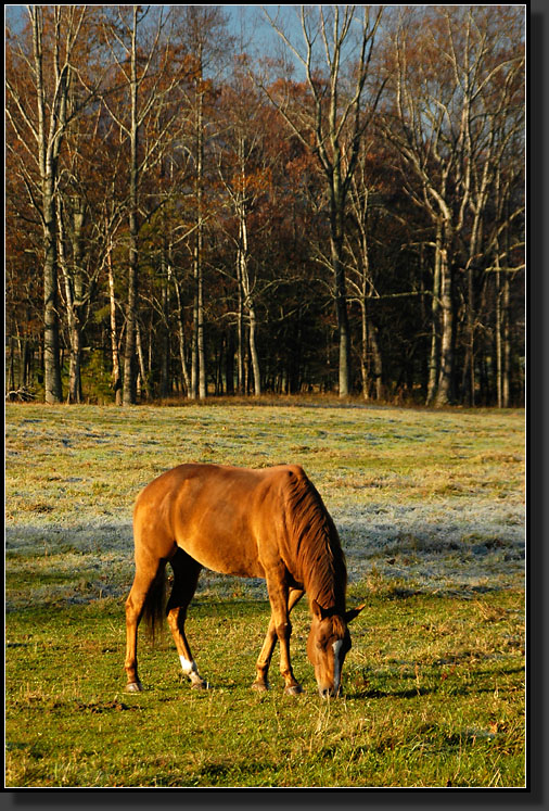 20061029-0020-Cades-Cove