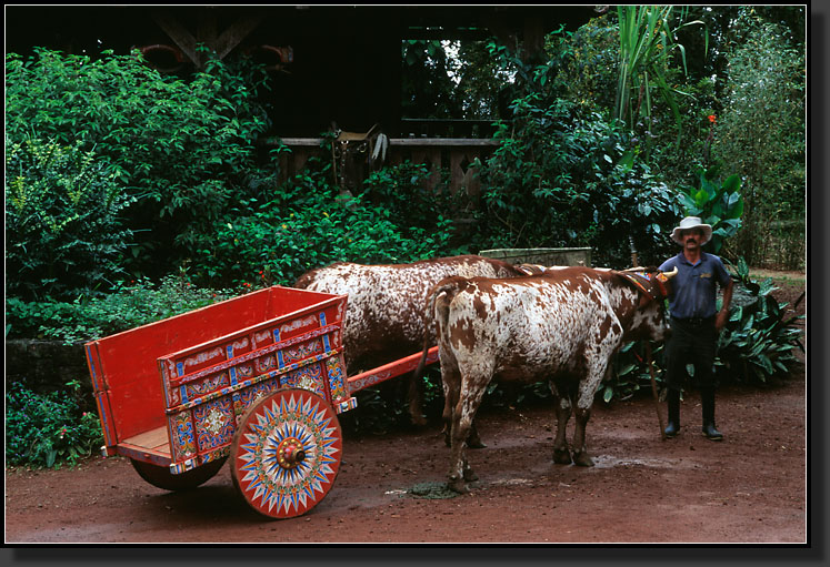 20061208-226-Oxcart,-La-Paz-Waterfall-Gardensi,-Costa-Rica