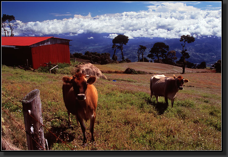 20061215-529-Volcan-Irazu-to-Cartago,-Costa-Rica