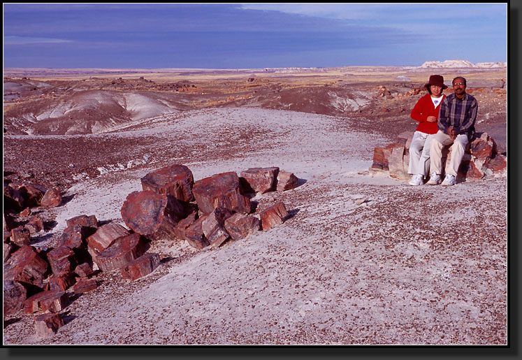 20061226-222-Petrified-Forest-NP