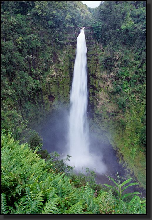 20070423-211-Akaka-Falls,-Big-Island