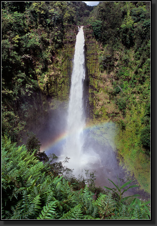 20070423-213-Akaka-Falls,-Big-Island