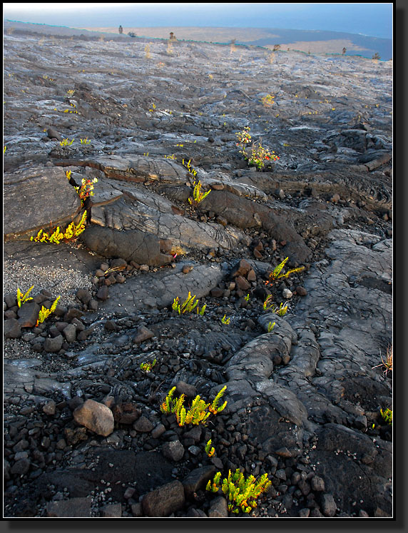 20070424-0731-Lava-Field,-Volcano-NP