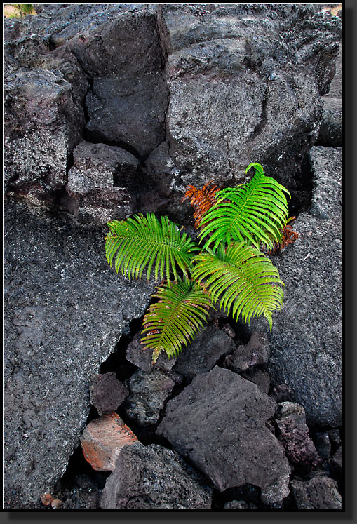 20070424-0726-Lava-Field