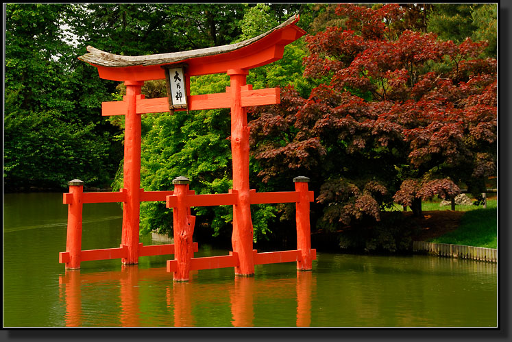 20070527-1098-Japanese-Hill-and-Pond-Garden