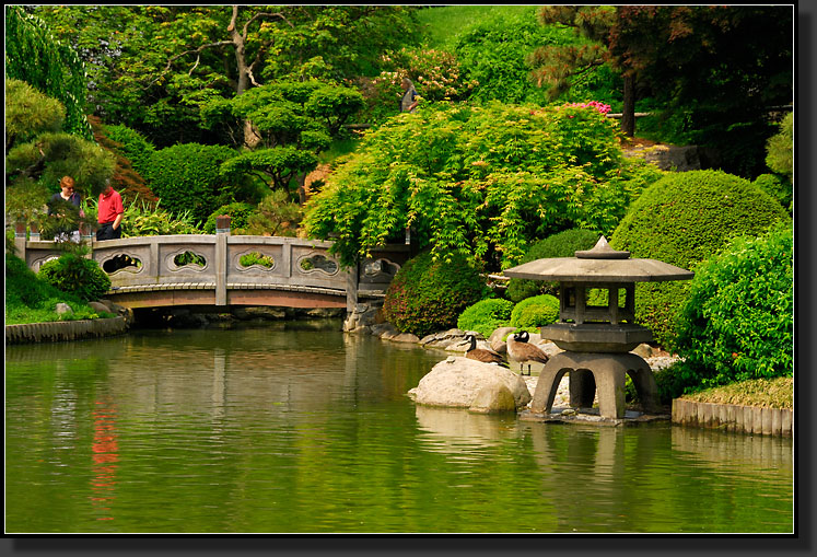 20070527-1100-Japanese-Hill-and-Pond-Garden