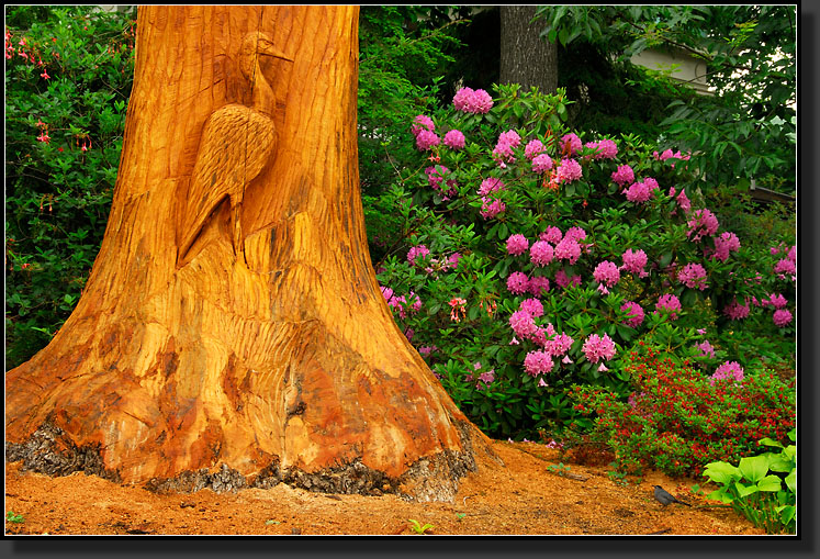 20070528-1230-Carved-Lightning-Struck-Tree-Trunk